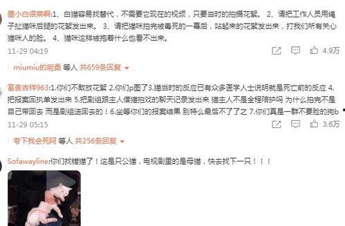 爱情而已群演爆料视频,爱情而已幕后花絮曝光