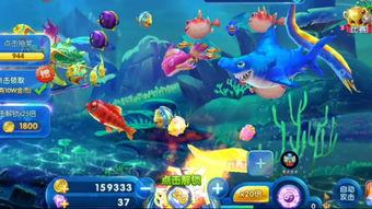 深海捕鱼爆料视频大全,揭秘神秘海洋捕捞全纪录 第2张 深海捕鱼爆料视频大全,揭秘神秘海洋捕捞全纪录 第2张