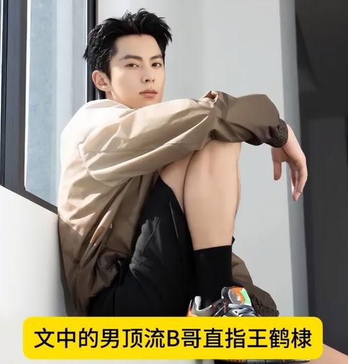 王鹤棣娱乐圈吃瓜事件,揭秘吃瓜背后的真相  第3张