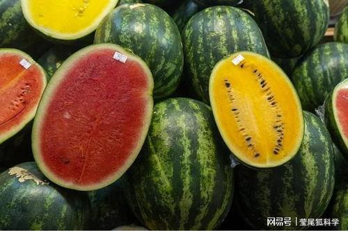 绍兴网红吃瓜事件真相,真相背后的网络风波 第3张 绍兴网红吃瓜事件真相,真相背后的网络风波 第3张