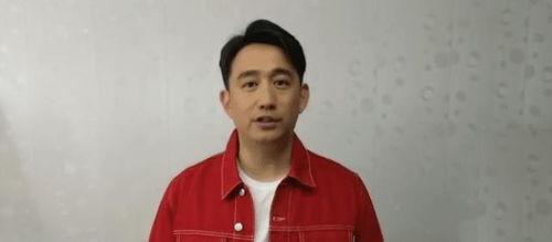 黄磊圈内人爆料视频,娱乐圈背后的真实故事 第1张 黄磊圈内人爆料视频,娱乐圈背后的真实故事 第1张