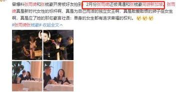 调解前夫爆料完整版视频,婚姻真相与情感纠葛全解析  第3张