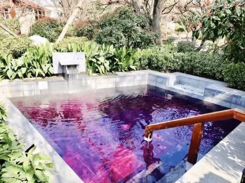 椿林最新爆料,揭秘娱乐圈惊天秘密！