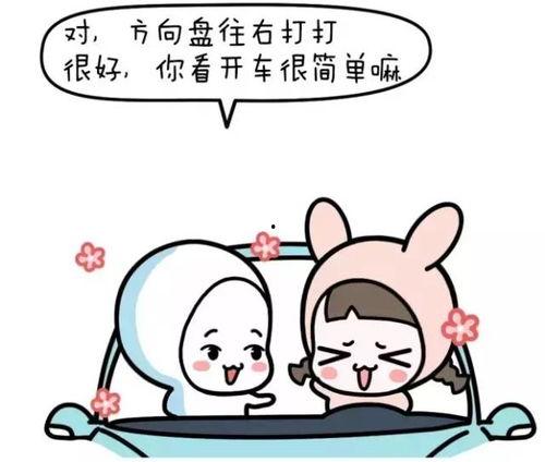 学车教练爆料视频大全最新,最新视频大全内幕大曝光! 第2张 学车教练爆料视频大全最新,最新视频大全内幕大曝光! 第2张