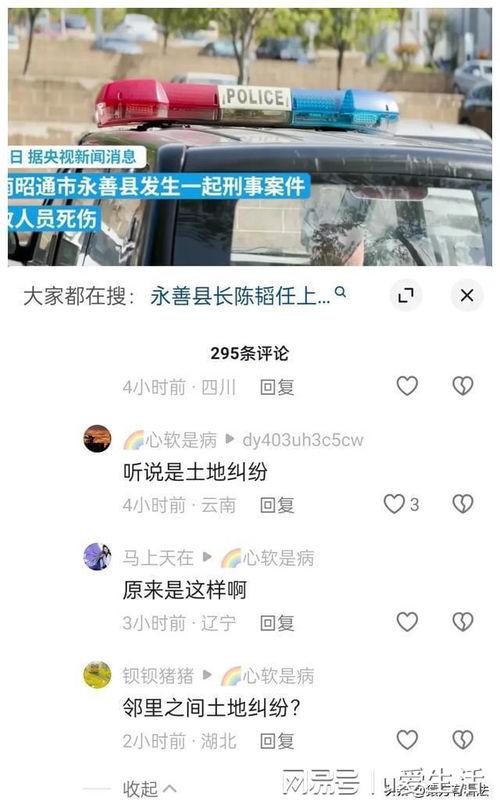 云南永善爆料案件视频,真相揭开，疑云散去