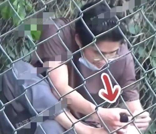 狗仔视频爆料大全,揭秘娱乐圈幕后真相  第1张