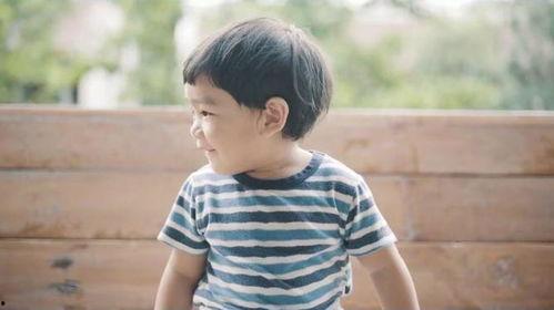 小男孩在线观看,小男孩的在线观看之旅