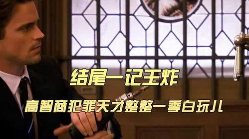 犯罪天才在线观看,在线揭秘犯罪心理的惊悚之旅