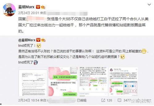 美国华人圈爆料视频大全,揭秘海外华人生活点滴  第3张