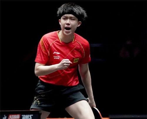 杨洋王楚钦恋情爆料视频,甜蜜互动引网友热议