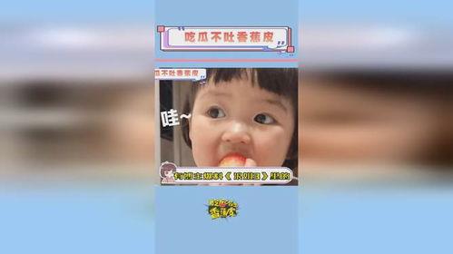 浪姐博主爆料视频大全,揭秘娱乐圈幕后故事