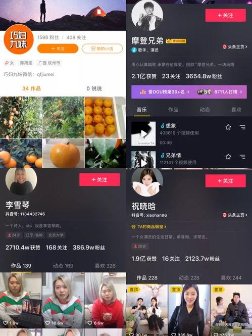 爆料短视频 创作,真相令人震惊！