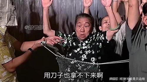 半斤八两 在线观看.,笑谈人生百态,揭秘市井烟火 第3张 半斤八两 在线观看.,笑谈人生百态,揭秘市井烟火 第3张