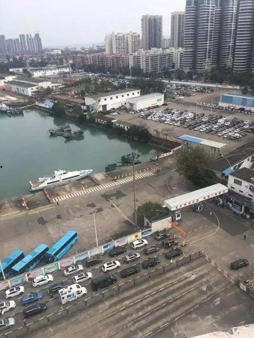 海口最新爆料,揭秘城市新动向与热点事件 第2张 海口最新爆料,揭秘城市新动向与热点事件 第2张