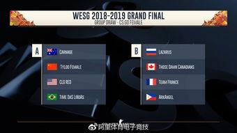 全球解说大爆料视频下载,视频下载背后的秘密与技巧 第2张 全球解说大爆料视频下载,视频下载背后的秘密与技巧 第2张