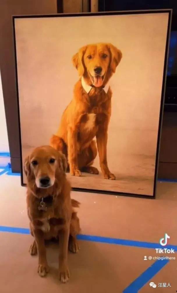 早期狗子爆料视频大全,揭秘娱乐圈幕后真相 第2张 早期狗子爆料视频大全,揭秘娱乐圈幕后真相 第2张