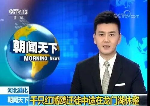 遵化建龙最新爆料新闻,揭秘企业转型与市场动态 第2张 遵化建龙最新爆料新闻,揭秘企业转型与市场动态 第2张