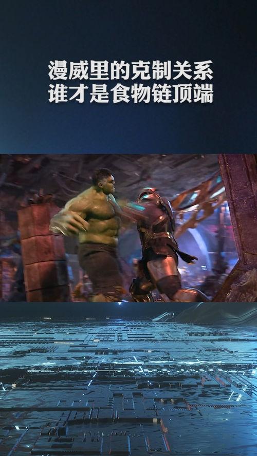 食物链电影完整版在线观看 第3张 食物链电影完整版在线观看 第3张