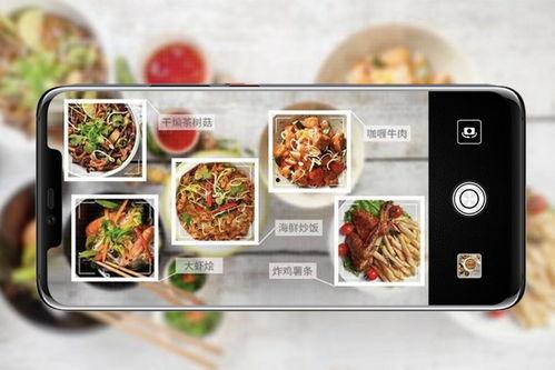 食物黑科技爆料视频播放,食物黑科技视频播放,带你领略味蕾新境界 第2张 食物黑科技爆料视频播放,食物黑科技视频播放,带你领略味蕾新境界 第2张